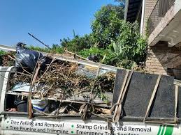 Best Property Management Cleanouts  in Palmetto, FL